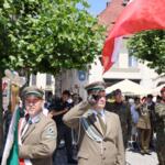 Piknik edukacyjno-artystyczny „Przestrzenie wolności”. fot. Andrzej Grygiel / UMWS